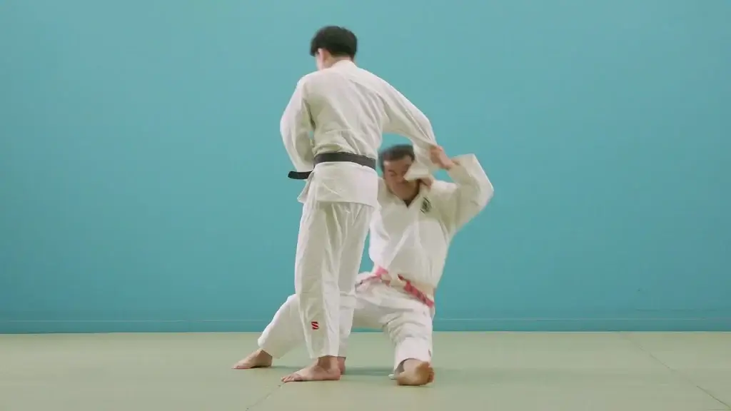 Tani-otoshi Konter durch einen Judoka.